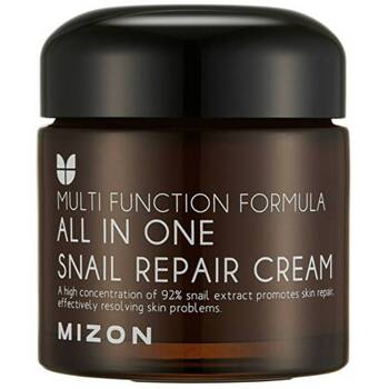 All In One Snail Repair Cream - Regeneračný pleťový krém s filtrátom hlemýždího sekrétu 92%